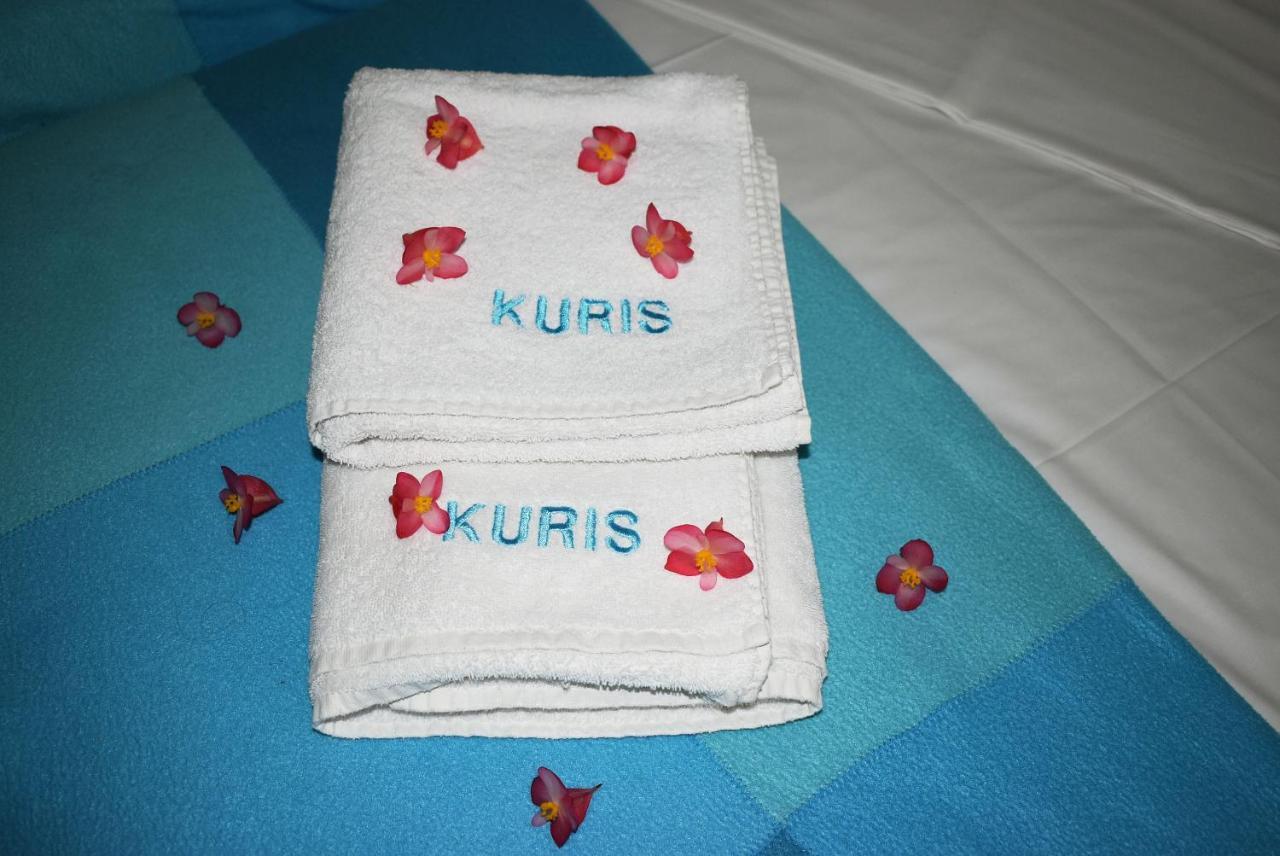 Kuris Studios & Apartments Vasilikos  Luaran gambar