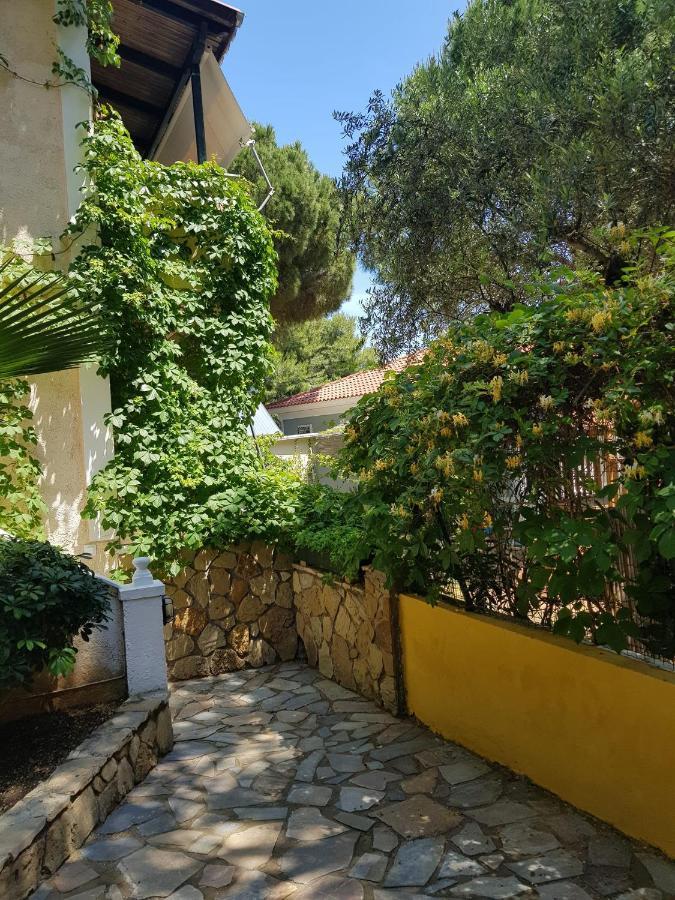 Kuris Studios & Apartments Vasilikos  Luaran gambar