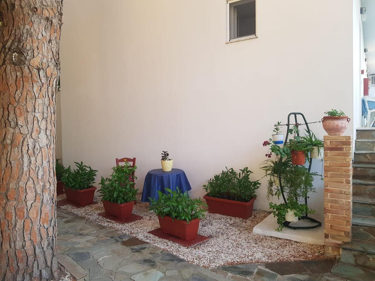 Kuris Studios & Apartments Vasilikos  Luaran gambar